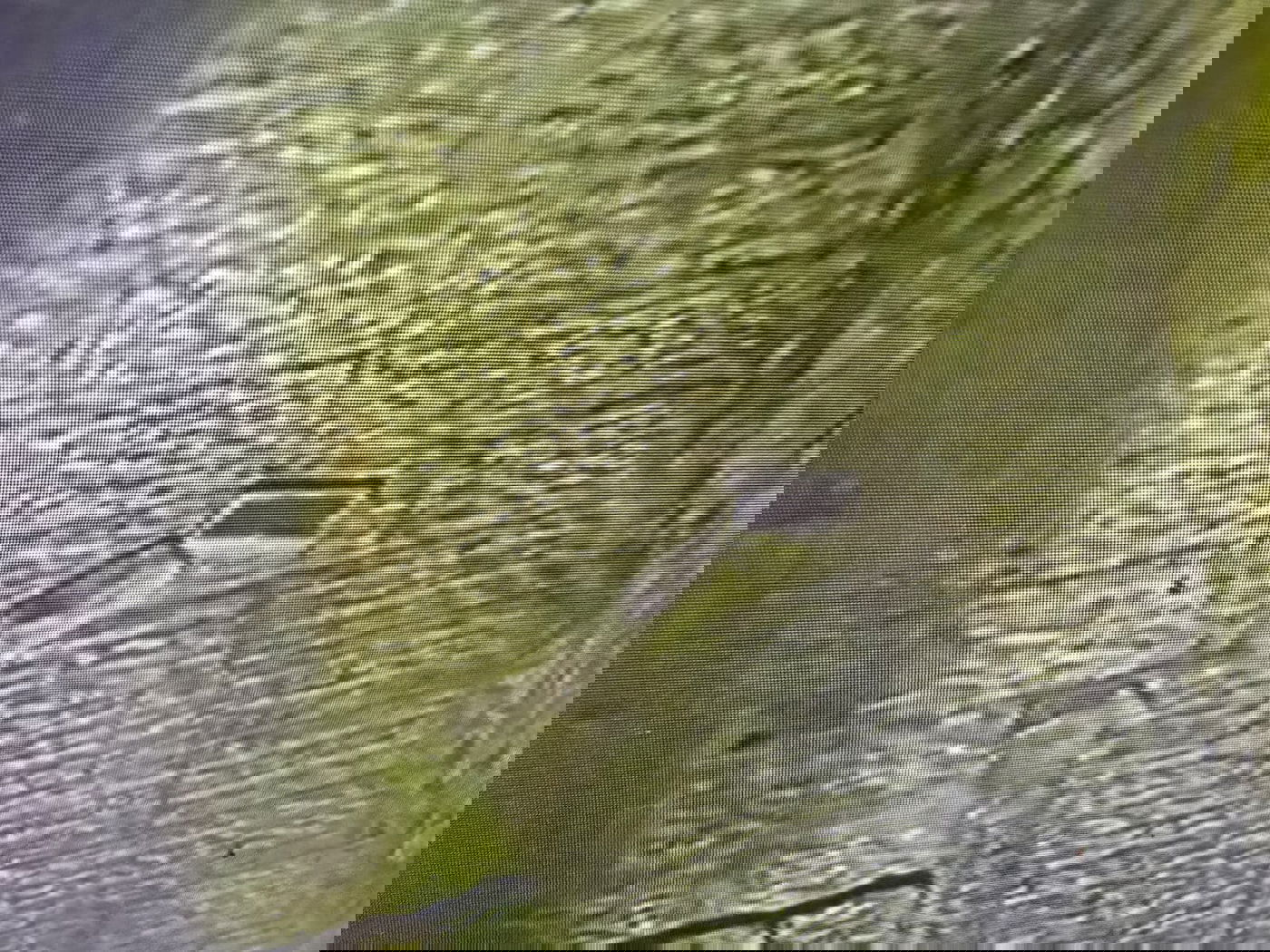 משטרת ירושלים עצרה שני קטינים שיידו אבנים ובקבוקים בעיר העתיקה
