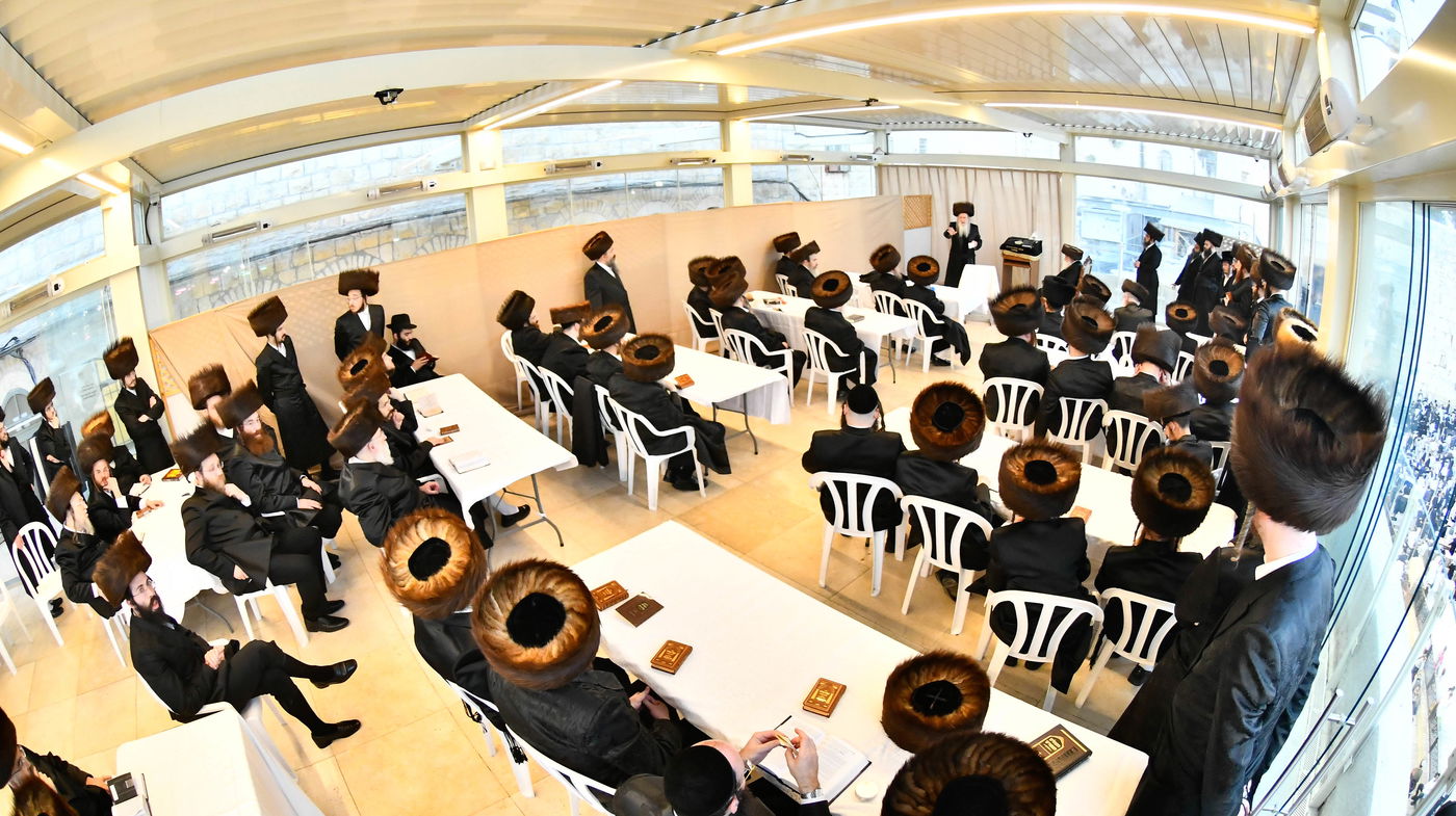 שבת מקדש מלך במכנובקא בעלזא