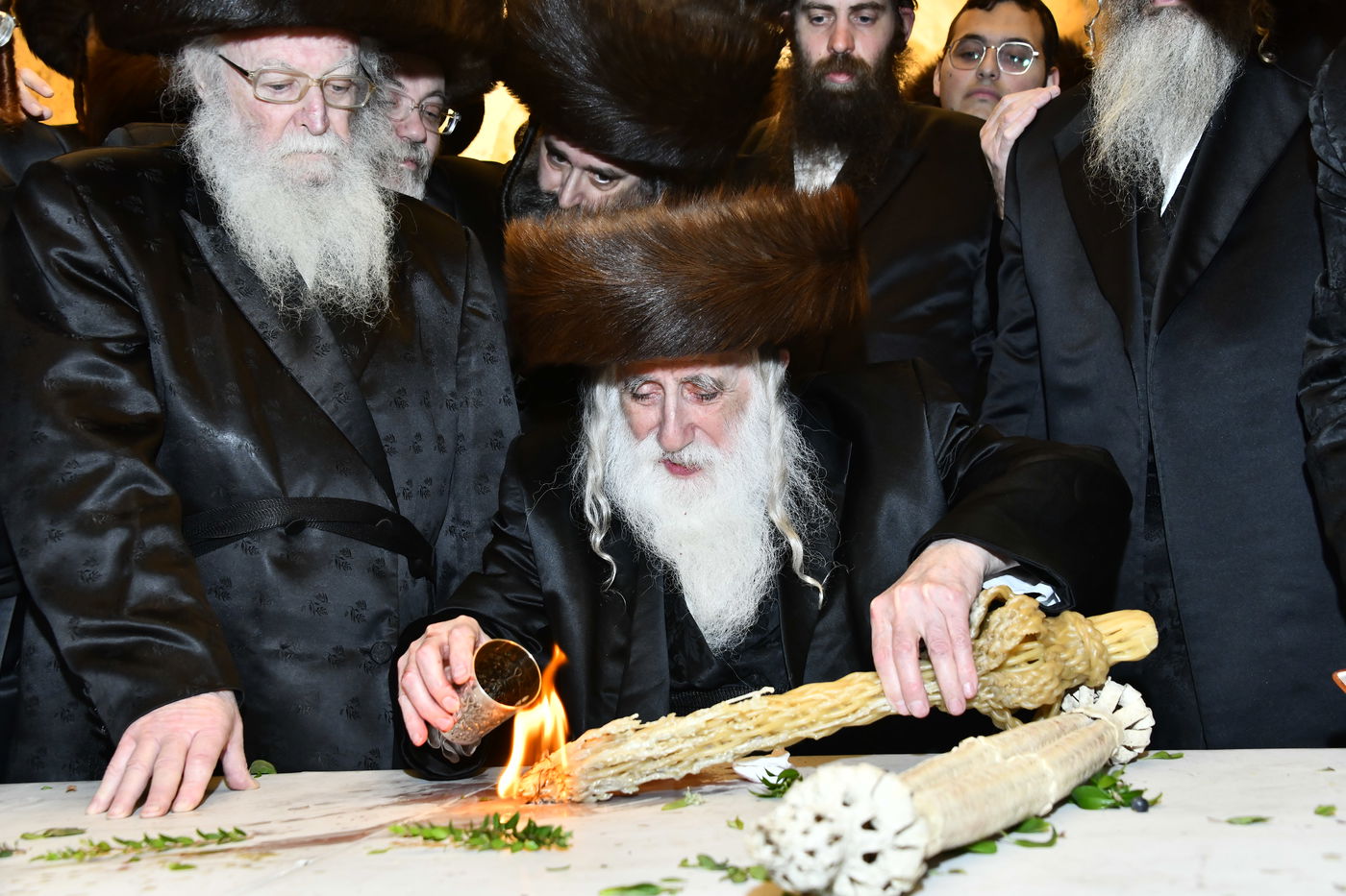 שבת מקדש מלך במכנובקא בעלזא