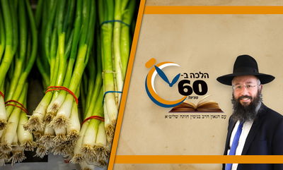 בצל ירוק שהיה מגולה בלילה - מותר באכילה? • צפו