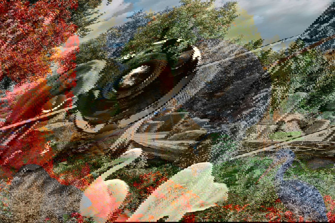 אילוסטרציה