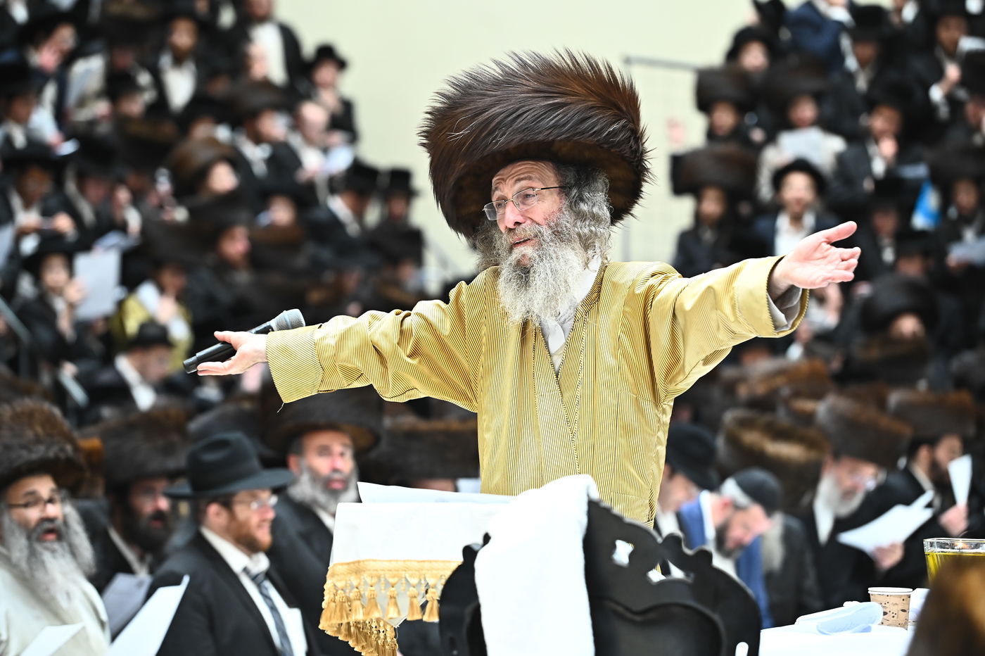 הרה"צ רבי אלימלך בידרמן בהילולת ה'בת עין'