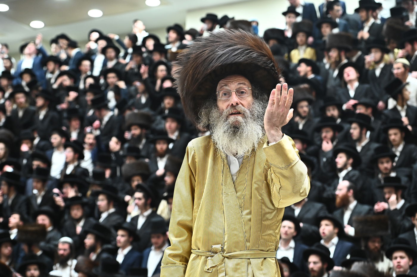 הרה"צ רבי אלימלך בידרמן בהילולת ה'בת עין'