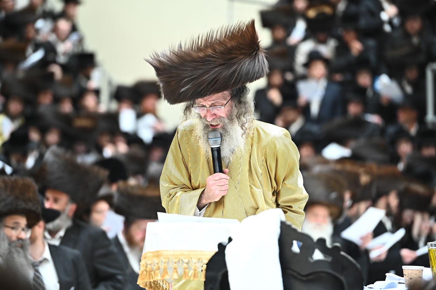 הרה"צ רבי אלימלך בידרמן בהילולת ה'בת עין'