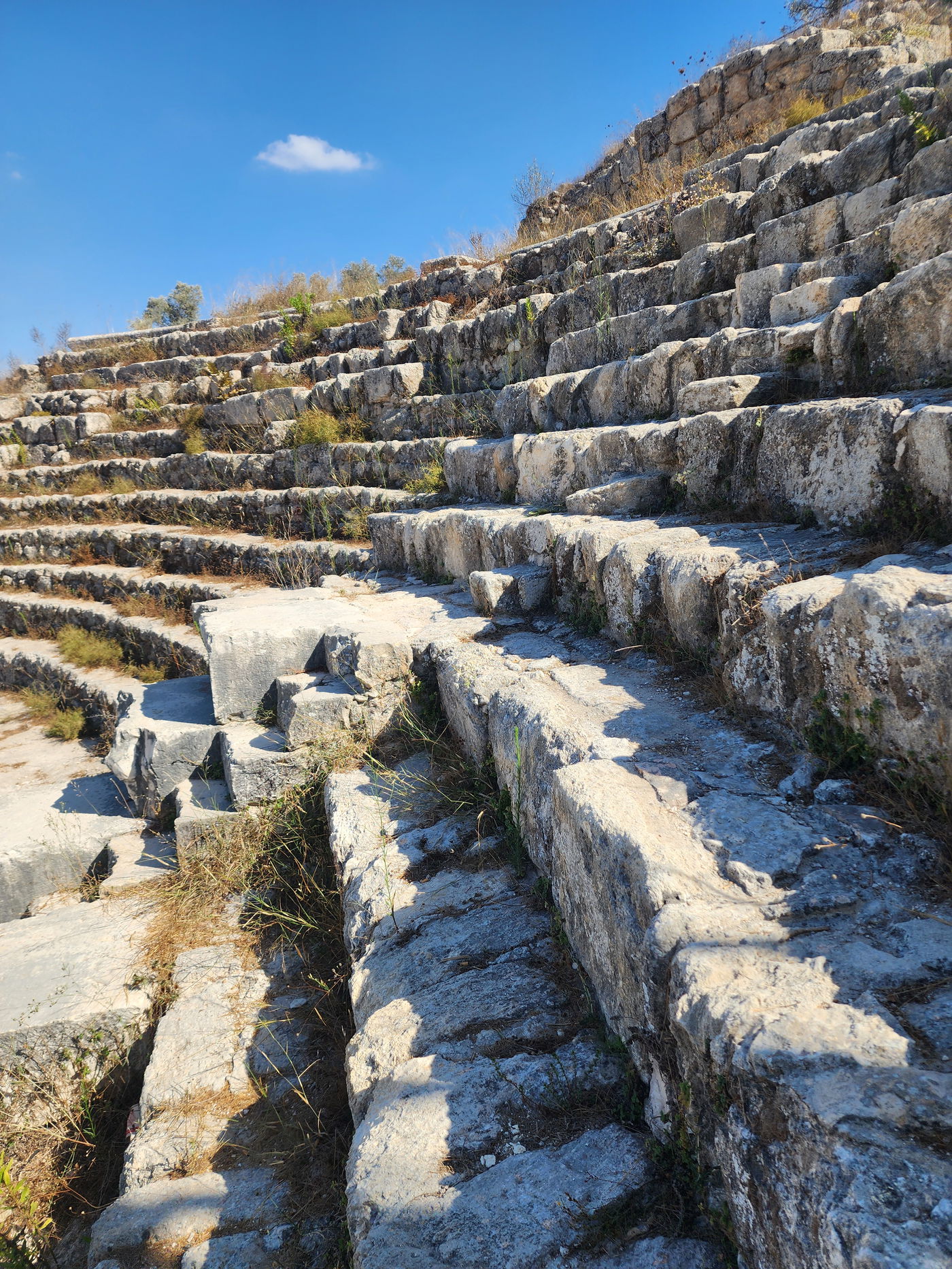 סבסטיה והאזור