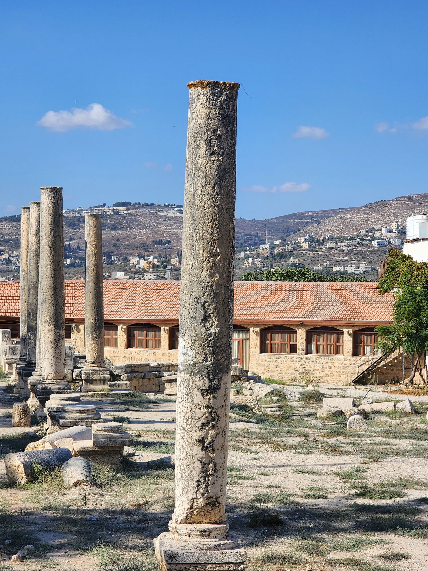 סבסטיה והאזור