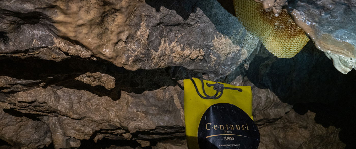 חלת דבש בתוך מערה בהרי טורקיה. אפשר לראות את השק הממותג של Centauri מתחת, ממתין למילוי