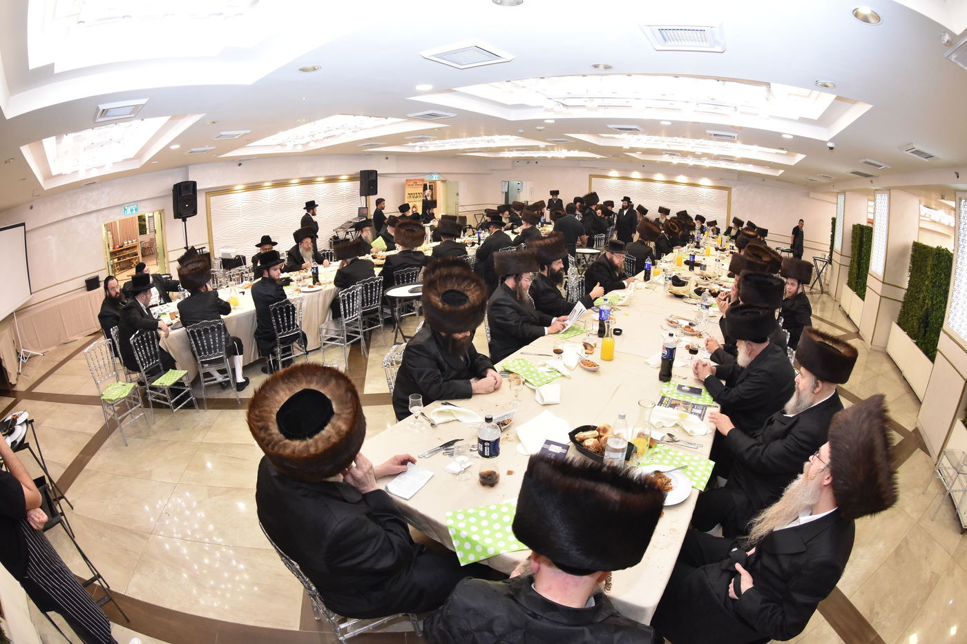 סעודת הילולא ודינר ב'פנים מאירות' - להורות נתן