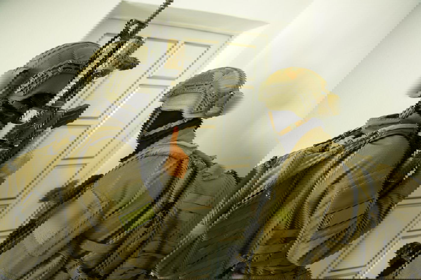 פעילות כוחות צה"ל בסניפי הארגון