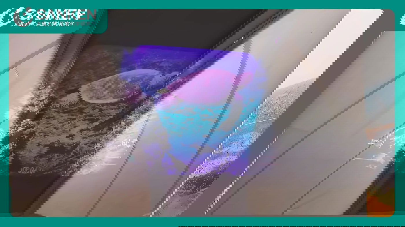 בתוך המכונה ישנו מסך המציג סרטוני טבע מרגיעים