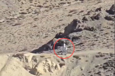 מתח בגבול ההימלאיה: האם רובוט חייל סיני נצפה על ידי חיילים הודים?