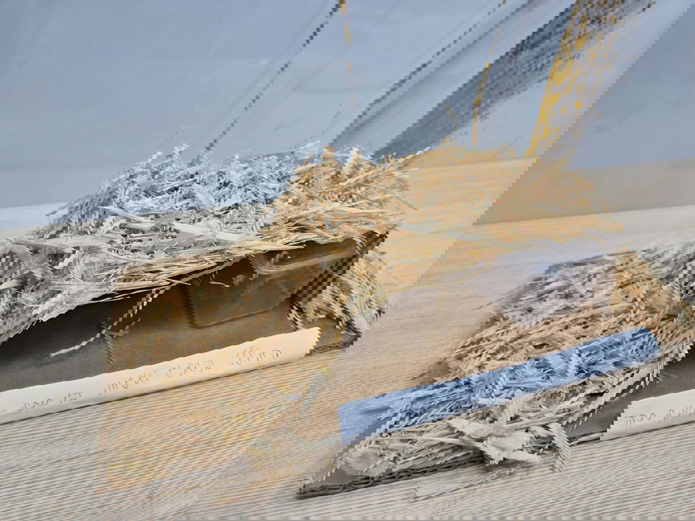 יצירת הסוכות של ילדי ת"ת 'חזון מאיר' ובית ישראל 