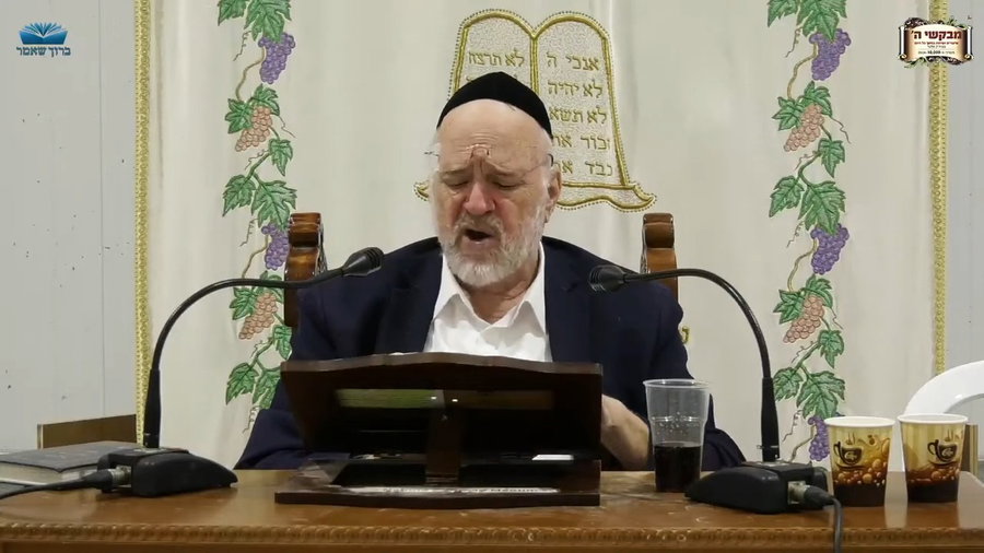 השיעור לפרשת וישלח