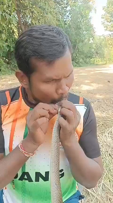 ביצוע ההחייאה בנחש