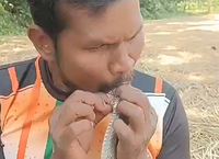 ויאד מבצע החייאה בנחש