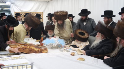 שמחת פדיון הבן בחצרות תולדות אברהם יצחק - טשארנאביל - קאלוב