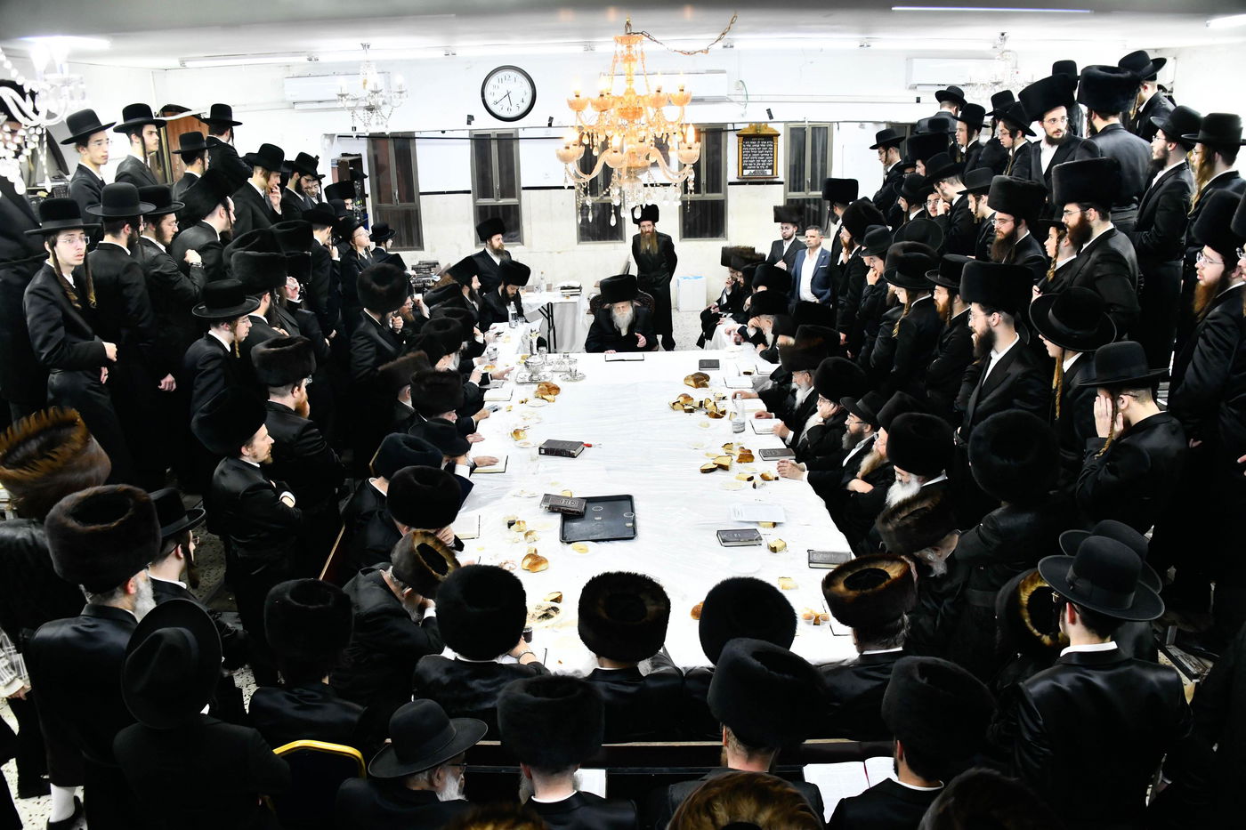 הילולא קדישא במודז'יץ