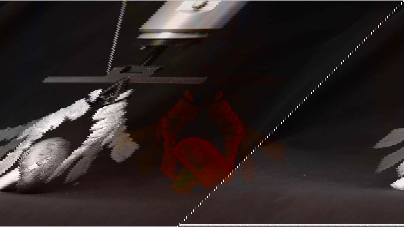 הזרועות הרובוטיות מהסרטנים בפעולה של הרמת פטרייה