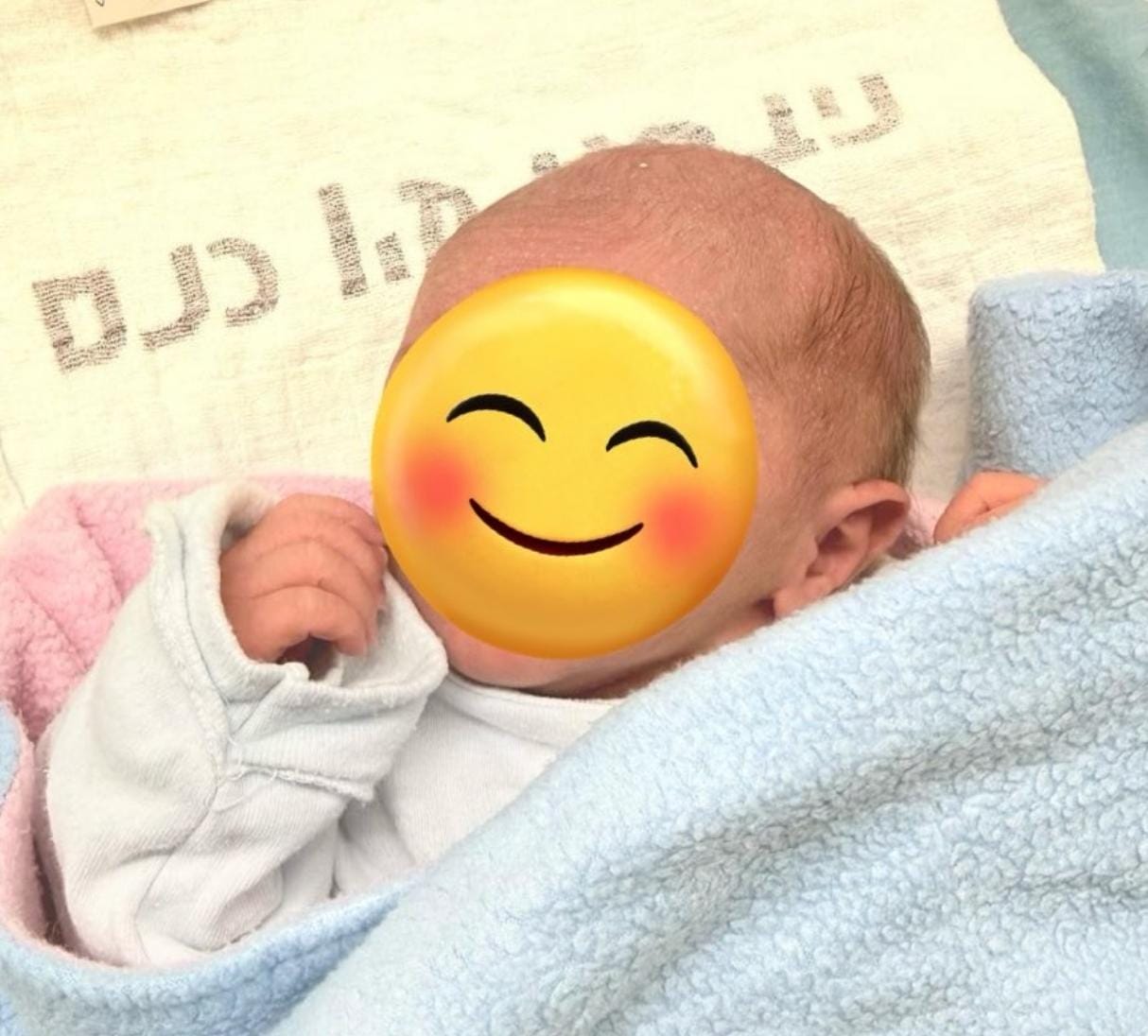 אריה דוד חדד