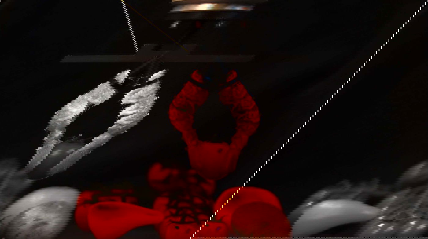 הזרוע הרובוטית