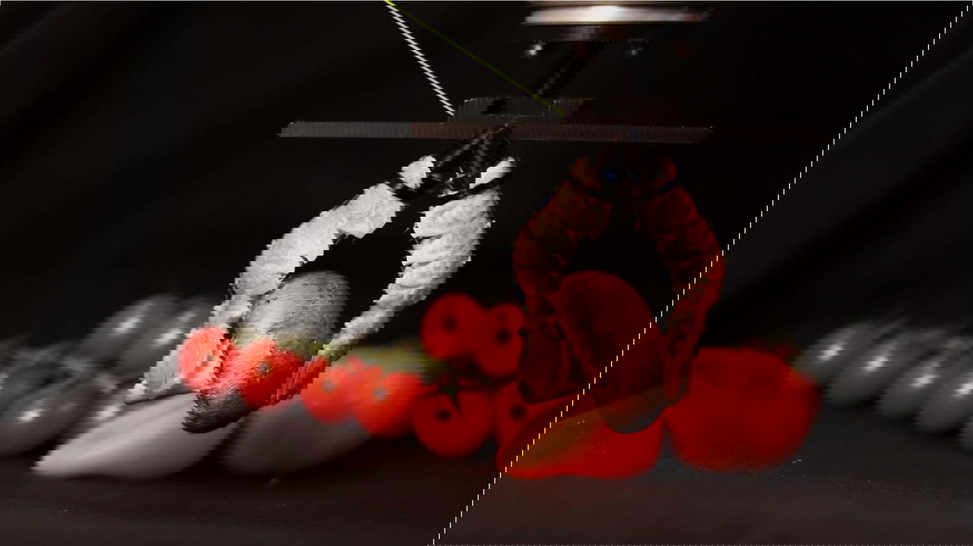 הזרוע הרובוטית