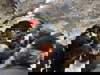 הילולת רבי יהודה הנשיא