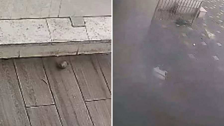 הרימון שהושלך