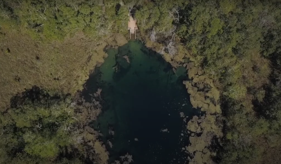 קן הנשרים ממעוף הציפור