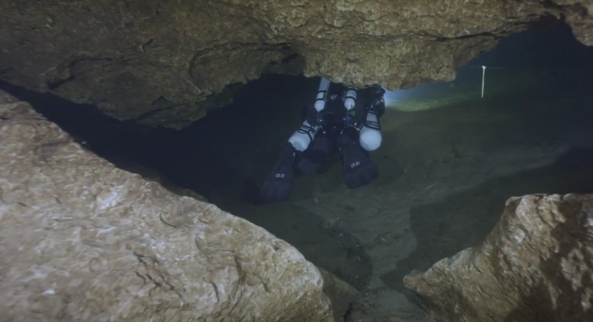 לא לומדים לקח - צוללנים יורדים לתוך הקן 