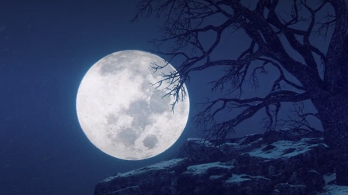 הירח כפי שנצפה משמי ארה"ב