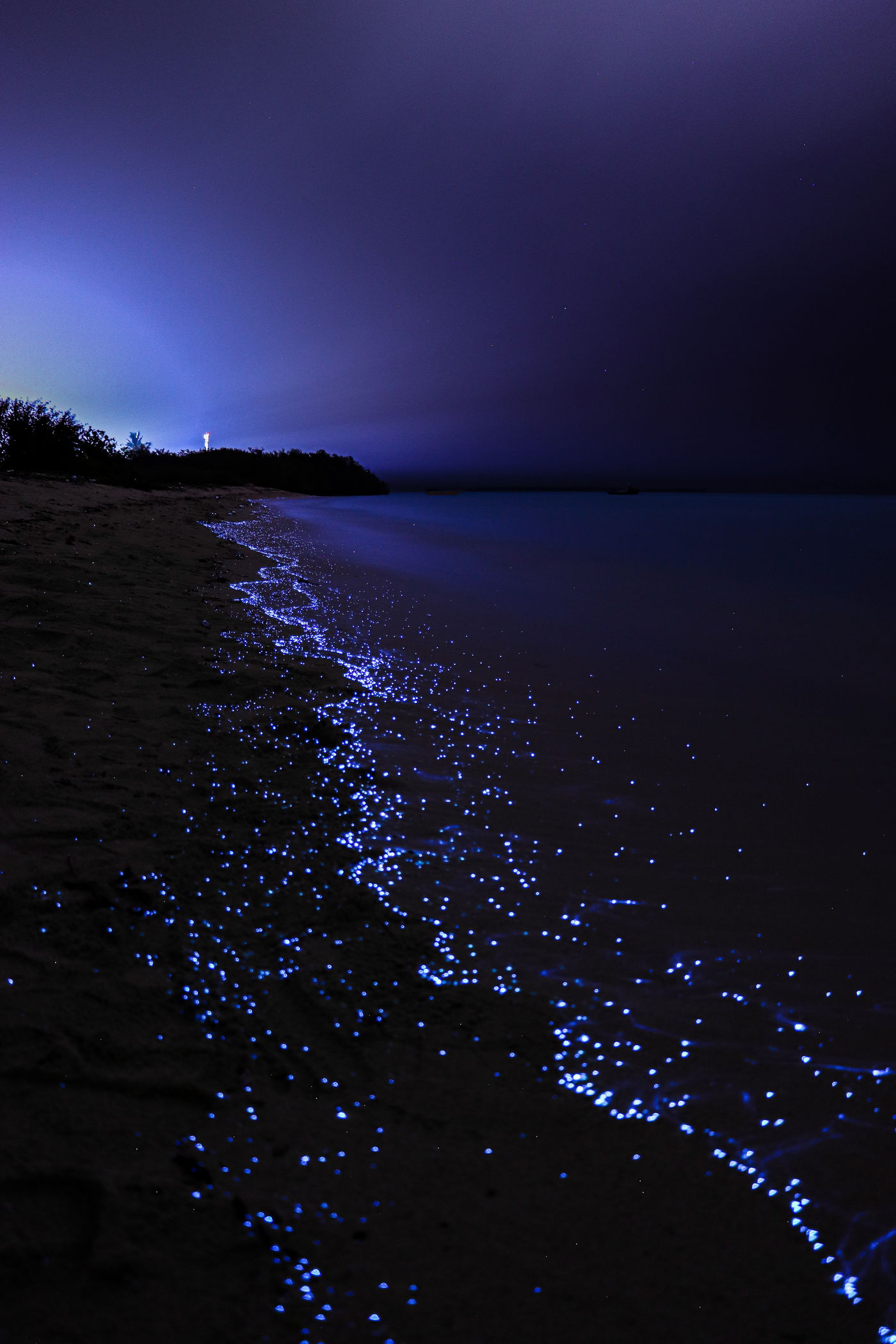 חופי הכוכבים במלדביים