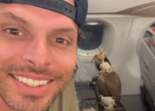 "רק במדינות ערביות": התייר נותר המום מהנוסעים יוצאי הדופן שישבו בנחת במטוס | צפו