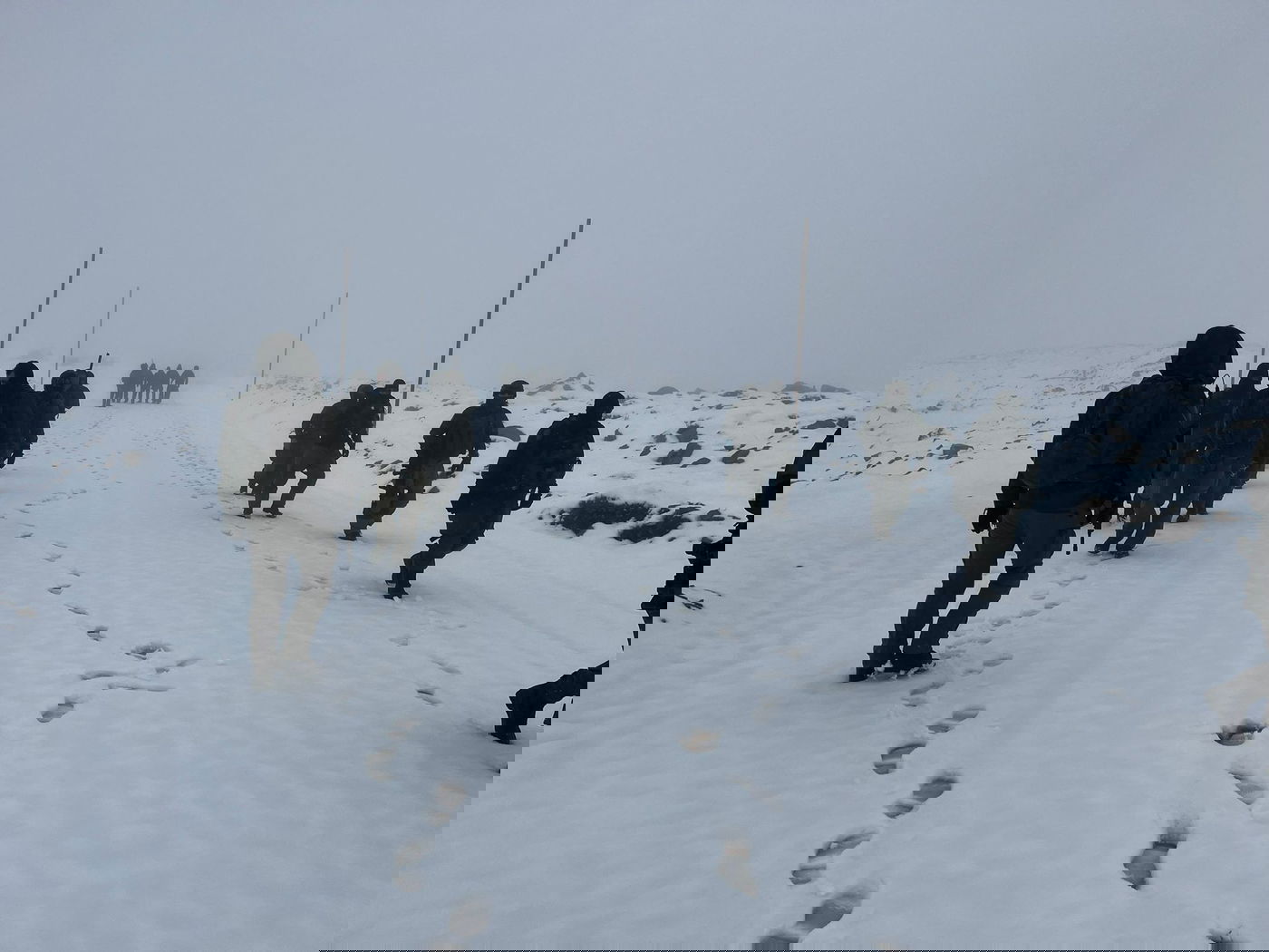 לוחמי חטיבת "ההרים" (810) בשלג בהר החרמון