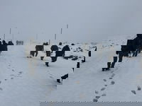 לוחמי חטיבת "ההרים" (810) בשלג בהר החרמון