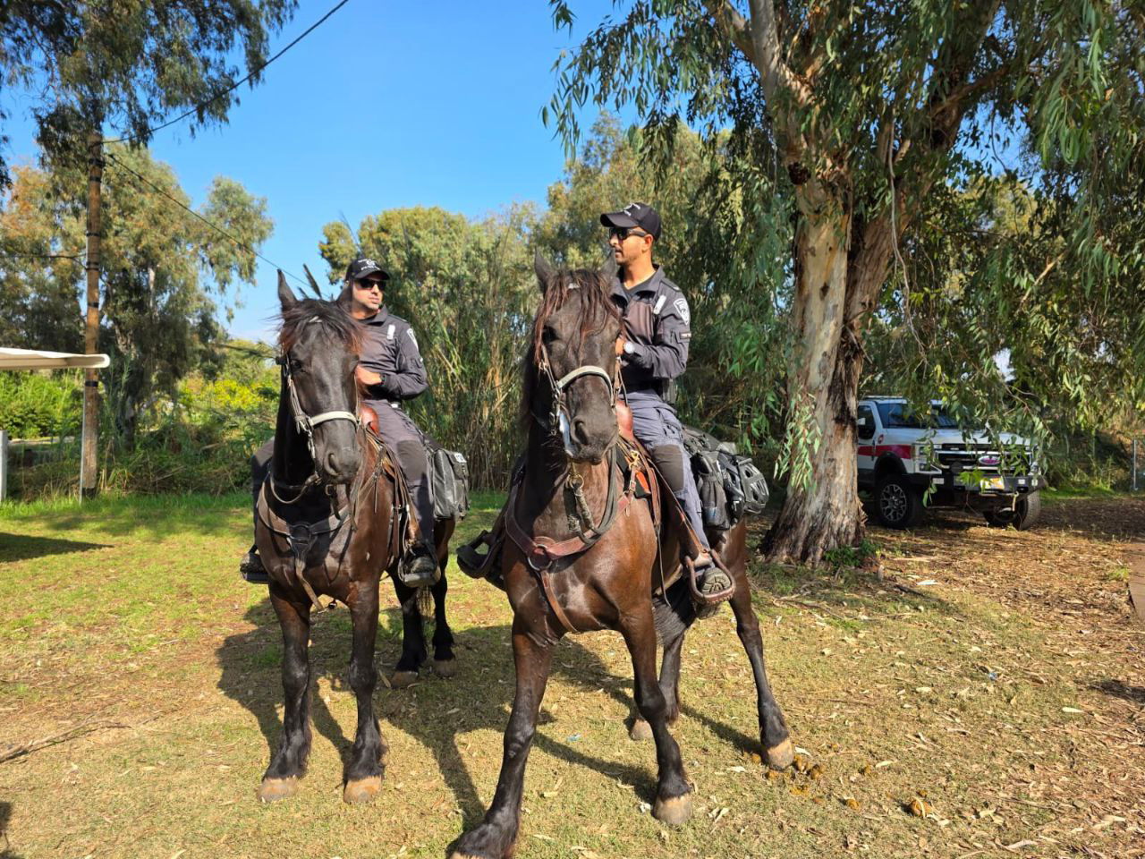 החיפושים בשטח