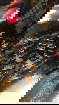 התפיסה של המשטרה