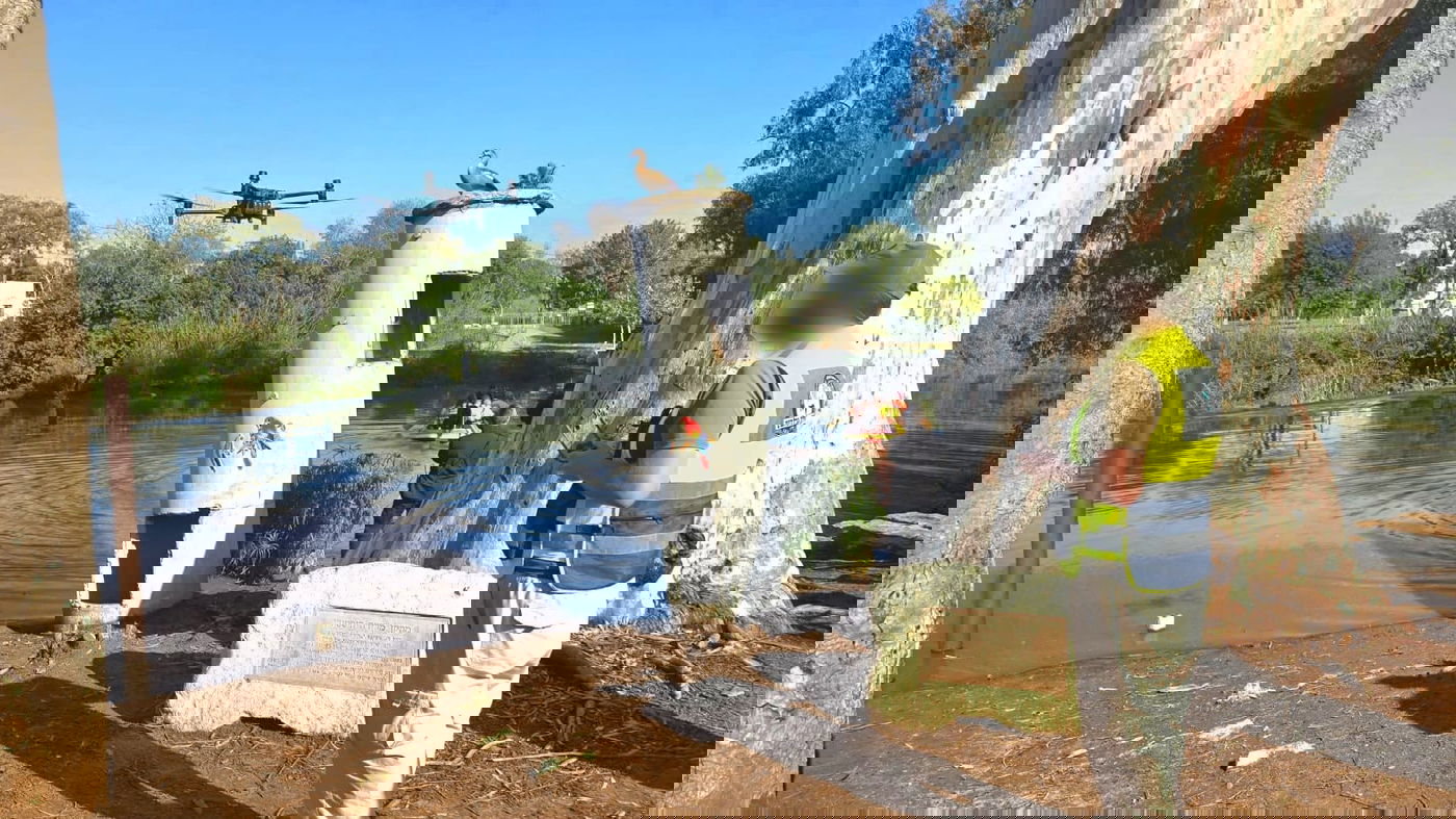 החיפושים ביום שישי