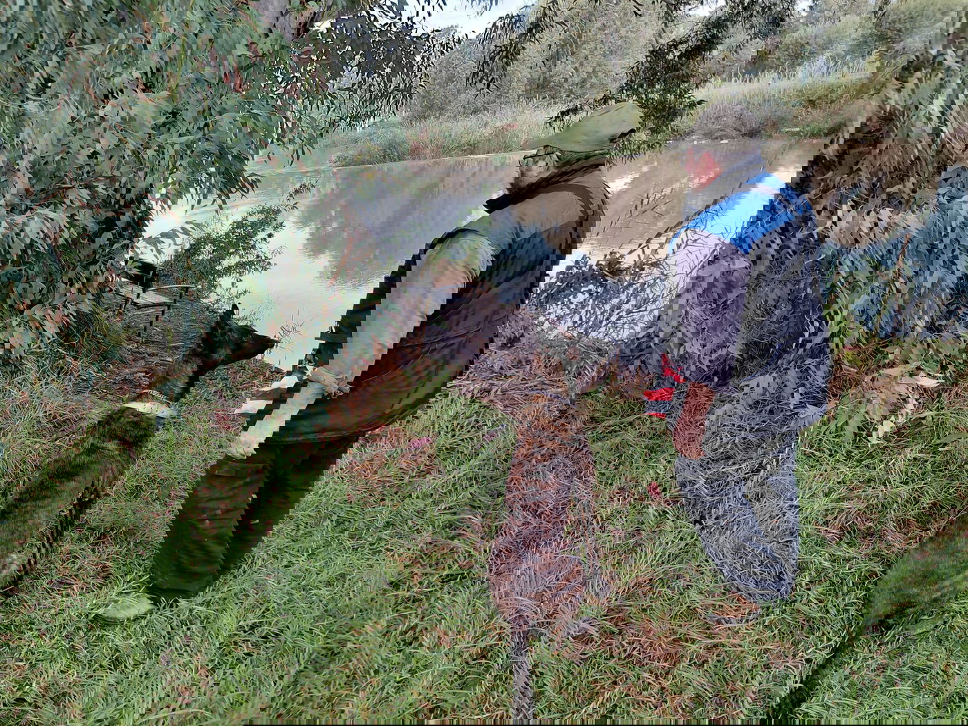 החיפושים ביום שישי