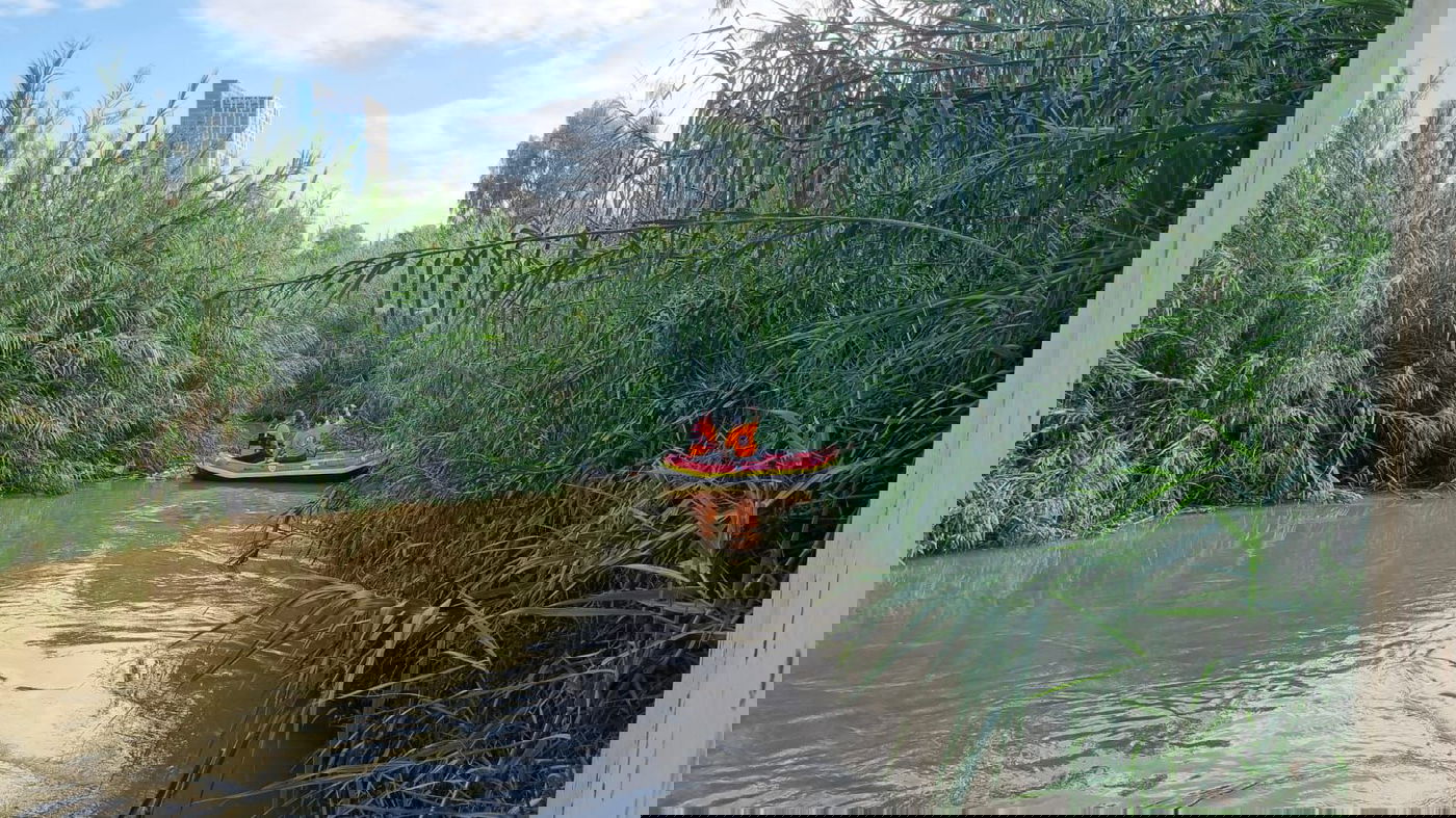 החיפושים אחר הנעדר