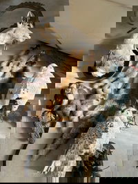 הממצאים שנתפסו בבית החשוד