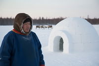 אסקימוסים בשלג