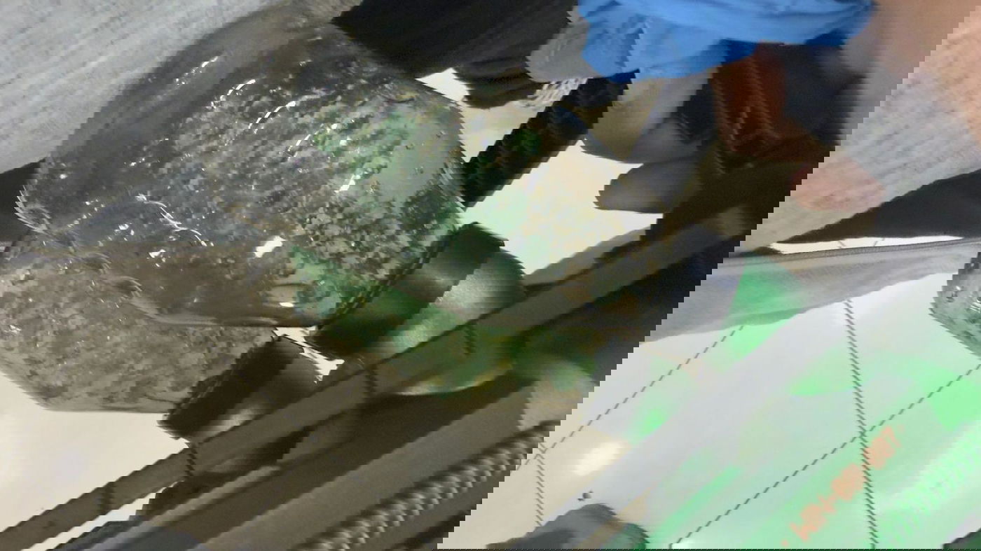 בן 18 תיעד את עצמו יורה מרובה אוויר לעבר חצר גן ילדים באשקלון – ונעצר | תיעוד