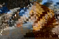 מימין - האתר המיוחס לקבורת אלעזר המכבי בגוש עציון, משמאל - קבר אלעזר ביער בן שמן