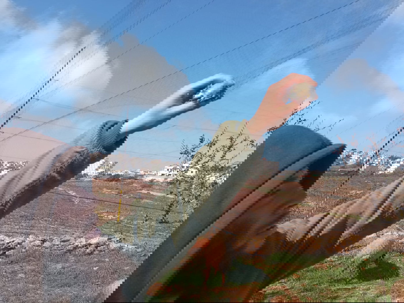 מחבל חמוש בסכין חדר בשבת קודש לישוב נגוהות בהר חברון - ונוטרל בכניסה