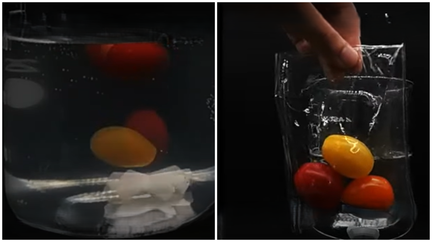 הפלסטיק החדש ביפן בניסוי מי ים - לפני ואחרי