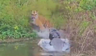 מתוך התיעוד יוצא הדופן