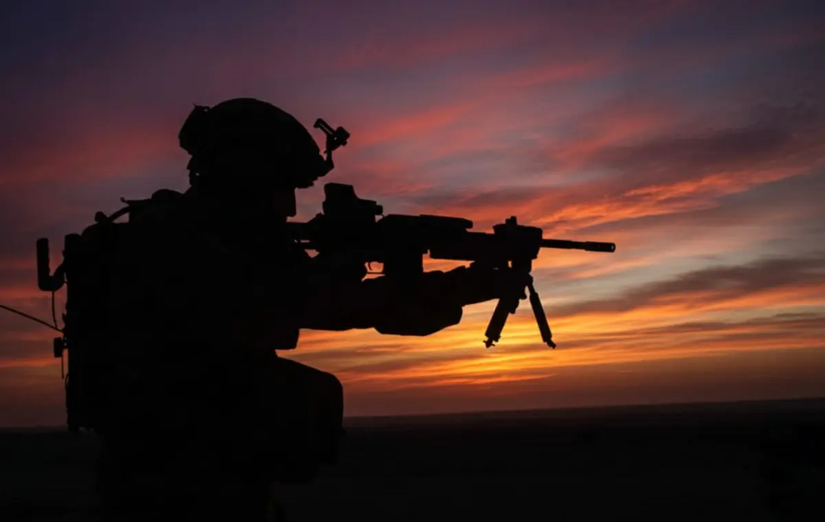 כרמלי בפעולה