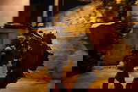 פעילות צה"ל בשכם