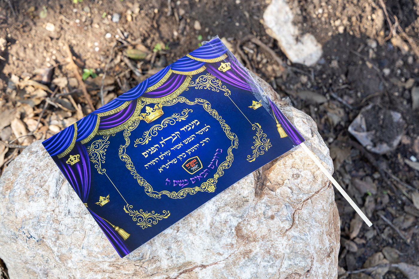 קבלת פנים לאסיר יונתן כהן