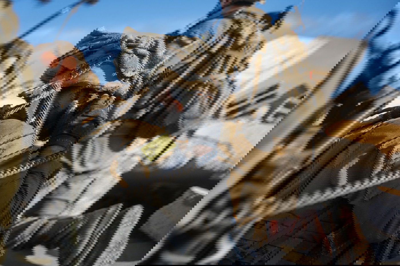 פעילות כוחות צה"ל ברצועה